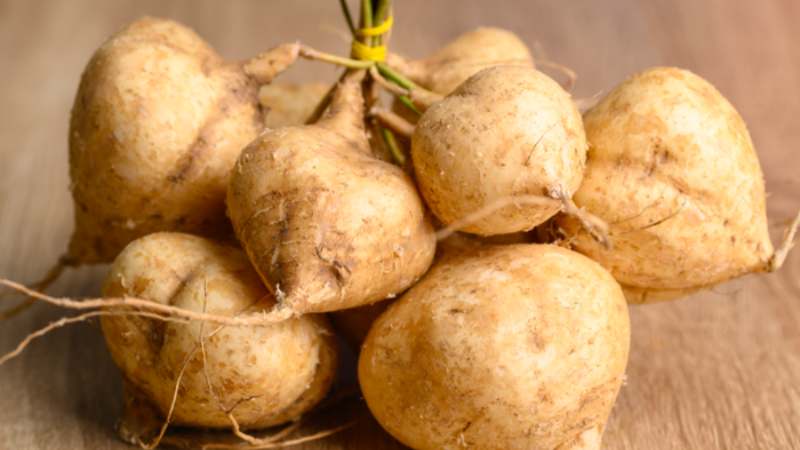 củ đậu có tác dụng gì?