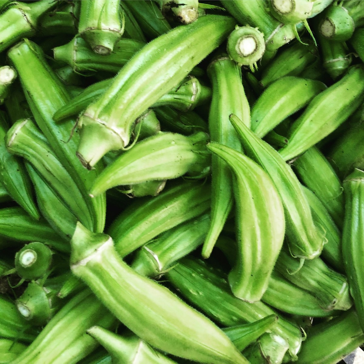 đậu bắp đẹp tươi