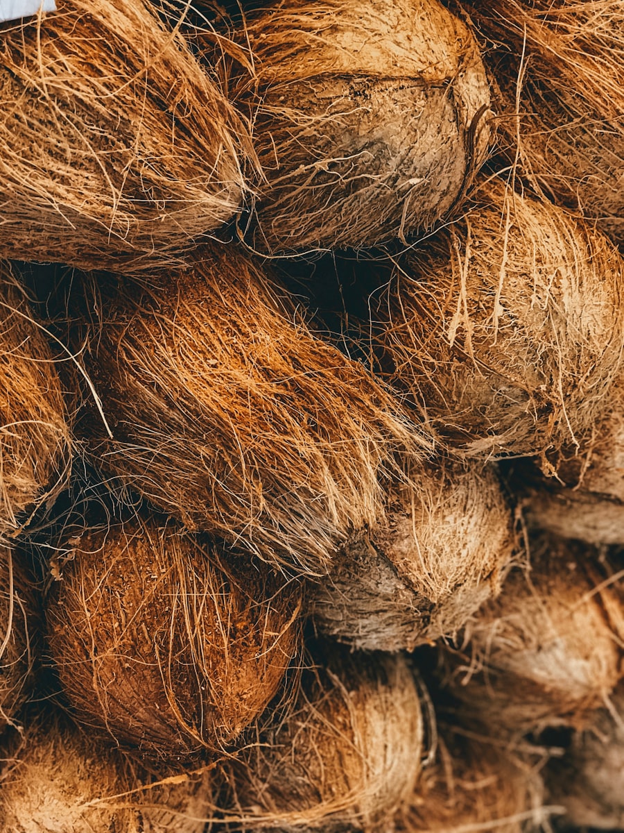 Trái dừa - món ăn từ dừa