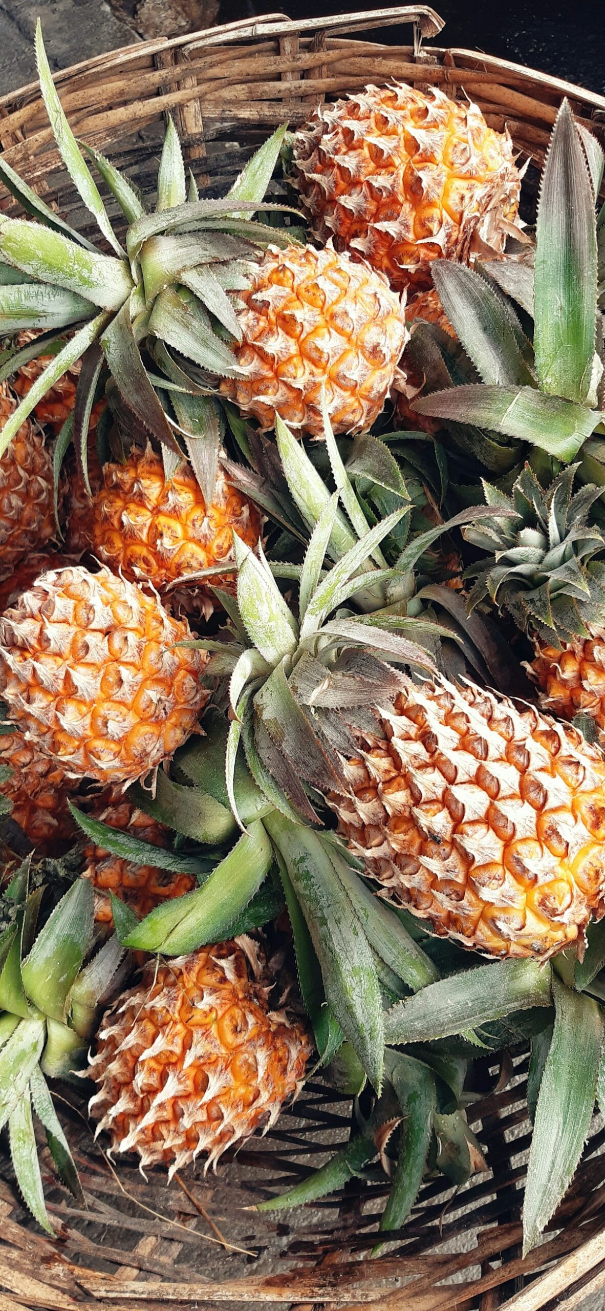 Nhiều quả dứa trong giỏ tại chợ