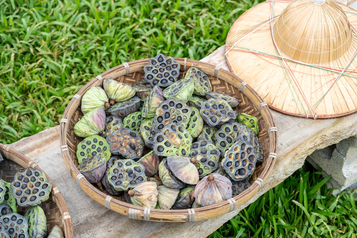 món ăn chế biến từ hạt sen