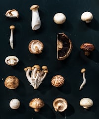 nấm hương cắt lát thấy rõ bên trong